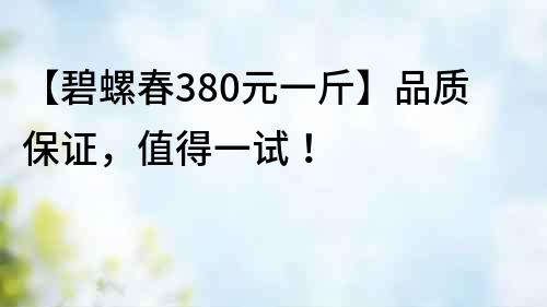 【碧螺春380元一斤】品质保证，值得一试！