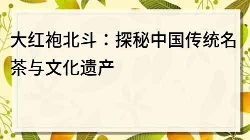 大红袍北斗：探秘中国传统名茶与文化遗产