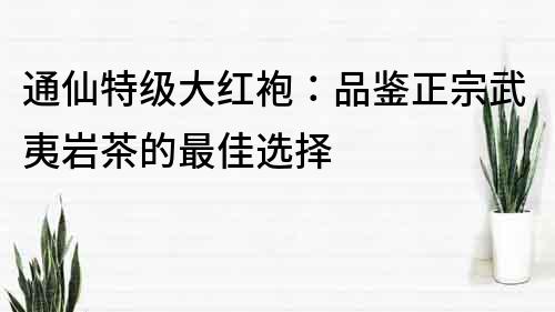 通仙特级大红袍：品鉴正宗武夷岩茶的最佳选择