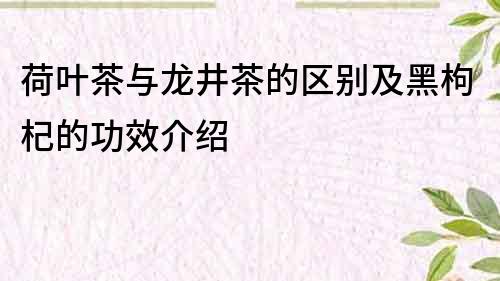 荷叶茶与龙井茶的区别及黑枸杞的功效介绍