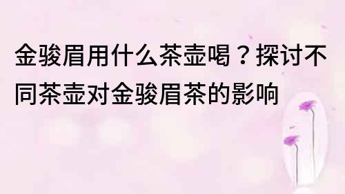 金骏眉用什么茶壶喝？探讨不同茶壶对金骏眉茶的影响