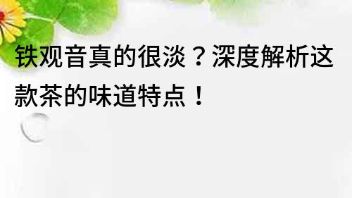 铁观音真的很淡？深度解析这款茶的味道特点！