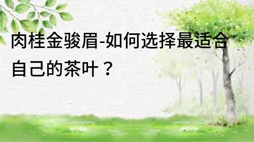 肉桂金骏眉-如何选择最适合自己的茶叶？