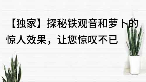 【独家】探秘铁观音和萝卜的惊人效果，让您惊叹不已