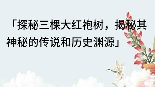 「探秘三棵大红袍树，揭秘其神秘的传说和历史渊源」