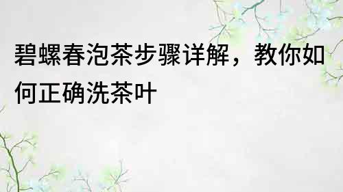 碧螺春泡茶步骤详解，教你如何正确洗茶叶