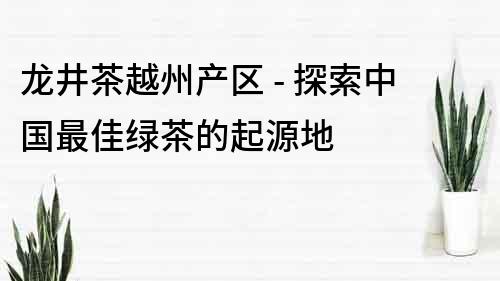 龙井茶越州产区 - 探索中国最佳绿茶的起源地