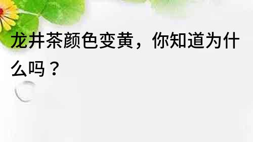 龙井茶颜色变黄，你知道为什么吗？