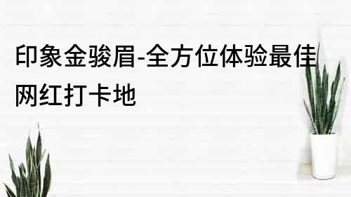 印象金骏眉-全方位体验最佳网红打卡地