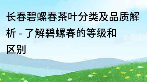 长春碧螺春茶叶分类及品质解析 - 了解碧螺春的等级和区别