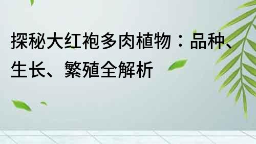 探秘大红袍多肉植物：品种、生长、繁殖全解析