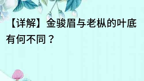 【详解】金骏眉与老枞的叶底有何不同？