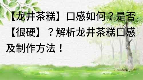 【龙井茶糕】口感如何？是否【很硬】？解析龙井茶糕口感及制作方法！