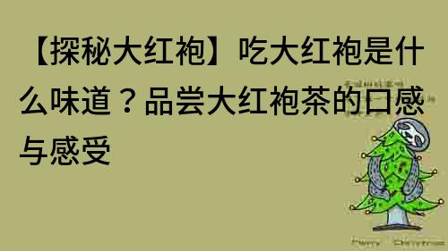 【探秘大红袍】吃大红袍是什么味道？品尝大红袍茶的口感与感受