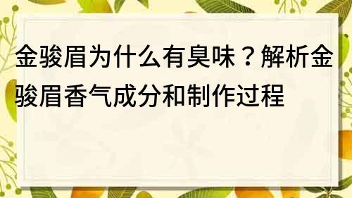 金骏眉为什么有臭味？解析金骏眉香气成分和制作过程