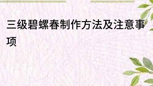 三级碧螺春制作方法及注意事项