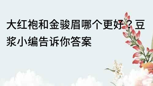 大红袍和金骏眉哪个更好？豆浆小编告诉你答案