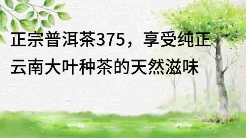 正宗普洱茶375，享受纯正云南大叶种茶的天然滋味