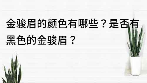 金骏眉的颜色有哪些？是否有黑色的金骏眉？