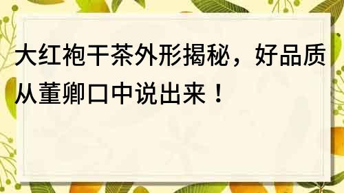 大红袍干茶外形揭秘，好品质从董卿口中说出来！