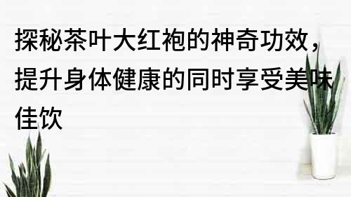 探秘茶叶大红袍的神奇功效，提升身体健康的同时享受美味佳饮