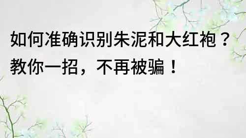 如何准确识别朱泥和大红袍？教你一招，不再被骗！