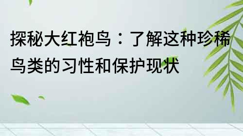 探秘大红袍鸟：了解这种珍稀鸟类的习性和保护现状