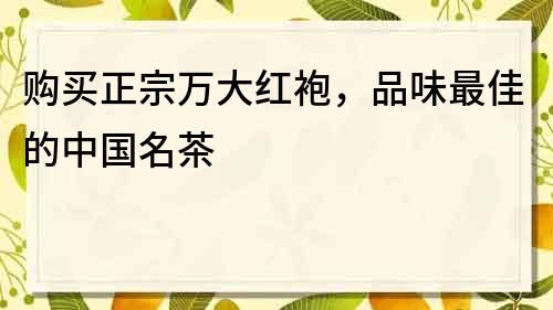 购买正宗万大红袍，品味最佳的中国名茶