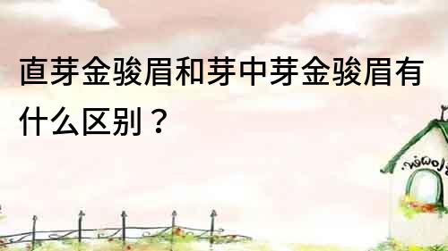 直芽金骏眉和芽中芽金骏眉有什么区别？