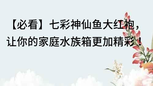 【必看】七彩神仙鱼大红袍，让你的家庭水族箱更加精彩！