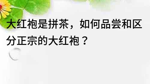 大红袍是拼茶，如何品尝和区分正宗的大红袍？