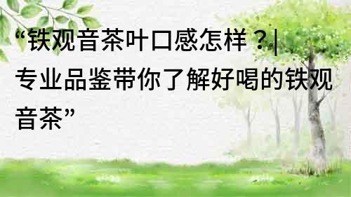 “铁观音茶叶口感怎样？| 专业品鉴带你了解好喝的铁观音茶”