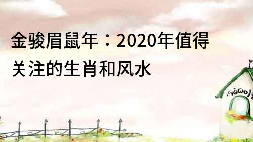 金骏眉鼠年：2020年值得关注的生肖和风水