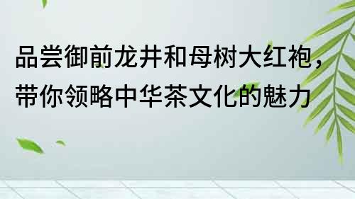 品尝御前龙井和母树大红袍，带你领略中华茶文化的魅力