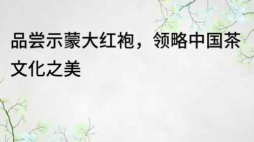 品尝示蒙大红袍，领略中国茶文化之美