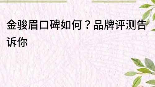 金骏眉口碑如何？品牌评测告诉你