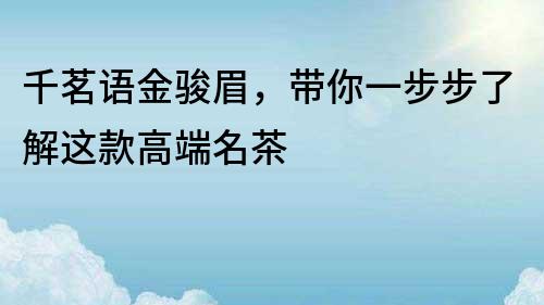 千茗语金骏眉，带你一步步了解这款高端名茶