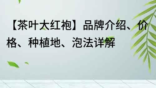 【茶叶大红袍】品牌介绍、价格、种植地、泡法详解