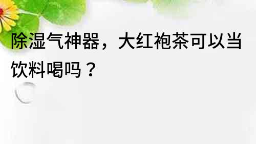 除湿气神器，大红袍茶可以当饮料喝吗？