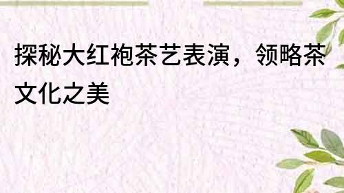 探秘大红袍茶艺表演，领略茶文化之美