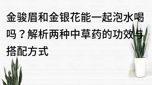 金骏眉和金银花能一起泡水喝吗？解析两种中草药的功效与搭配方式