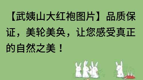 【武姨山大红袍图片】品质保证，美轮美奂，让您感受真正的自然之美！