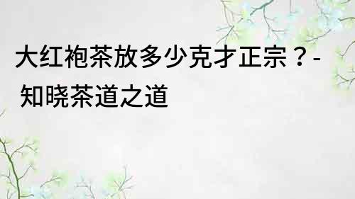 大红袍茶放多少克才正宗？- 知晓茶道之道