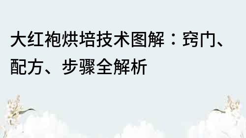 大红袍烘培技术图解：窍门、配方、步骤全解析