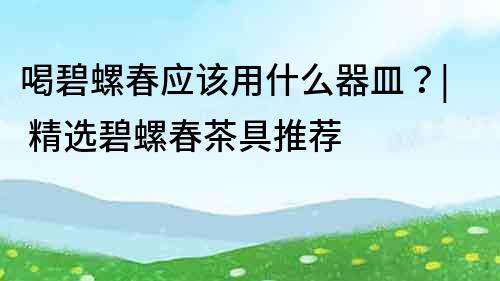 喝碧螺春应该用什么器皿？| 精选碧螺春茶具推荐