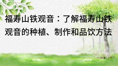 福寿山铁观音：了解福寿山铁观音的种植、制作和品饮方法