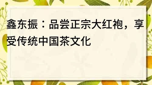 鑫东振：品尝正宗大红袍，享受传统中国茶文化