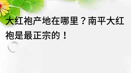 大红袍产地在哪里？南平大红袍是最正宗的！