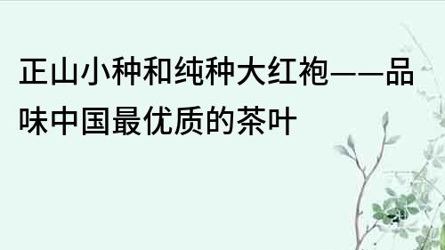 正山小种和纯种大红袍——品味中国最优质的茶叶