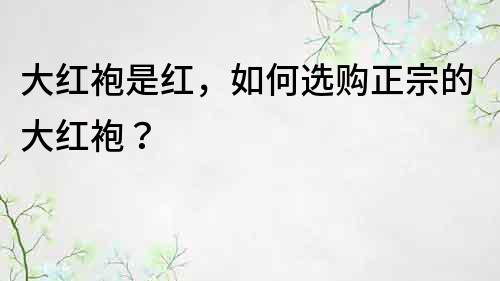 大红袍是红，如何选购正宗的大红袍？